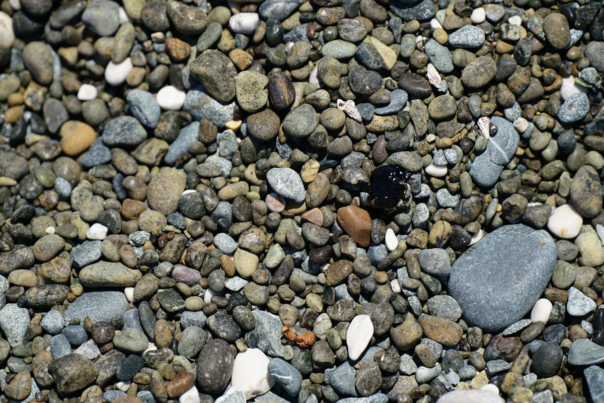 Researcher's Discovery Could Reshape Years of Microplastics Research