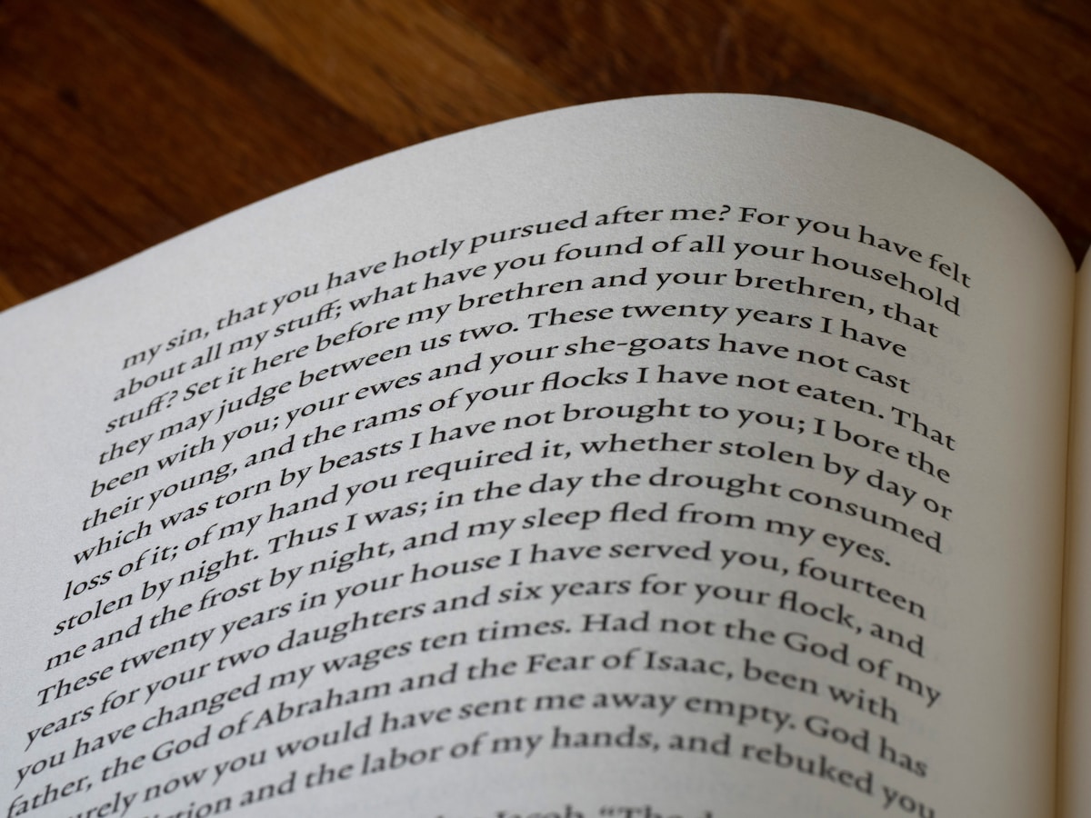 Five Years Later: Beloved Cat Bodhi Finds His Way Home to Heartbroken Owner