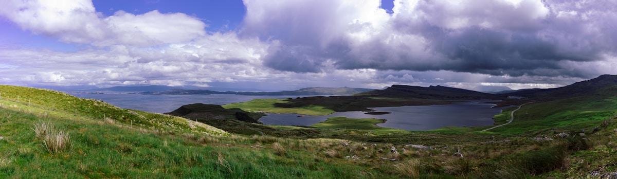 Isle of Man Rainforest Revival: 30,000 Trees Planted Ahead of Schedule
