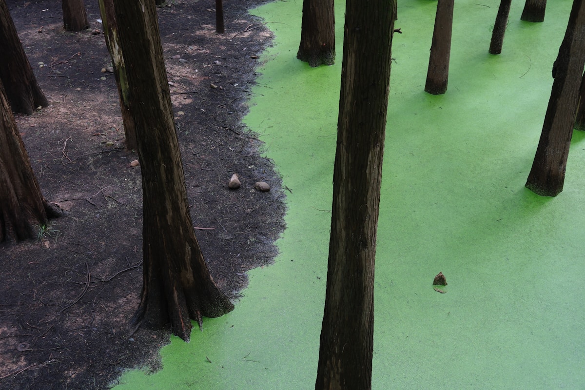 From Festival Grounds to Forest Floor: UK Turns Urine Into Nutrients for New Woodland