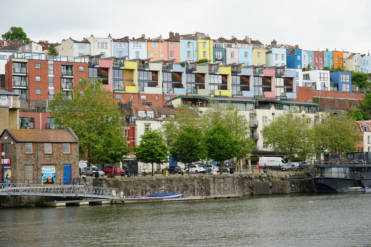 Bristol Startup Transforms Festival Waste Into Woodland Gold