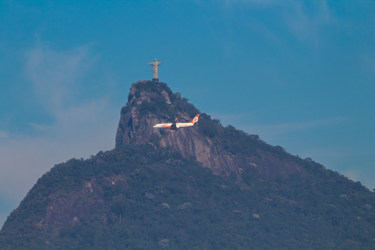 Iconic Blue-and-Yellow Macaws Soar Over Rio de Janeiro Again After Two Centuries