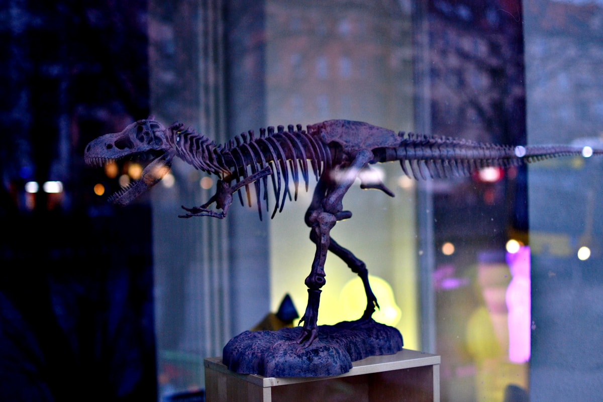Ancient Apex Predator Comes Alive: World's Only Complete Deinosuchus Skeleton Now on Display