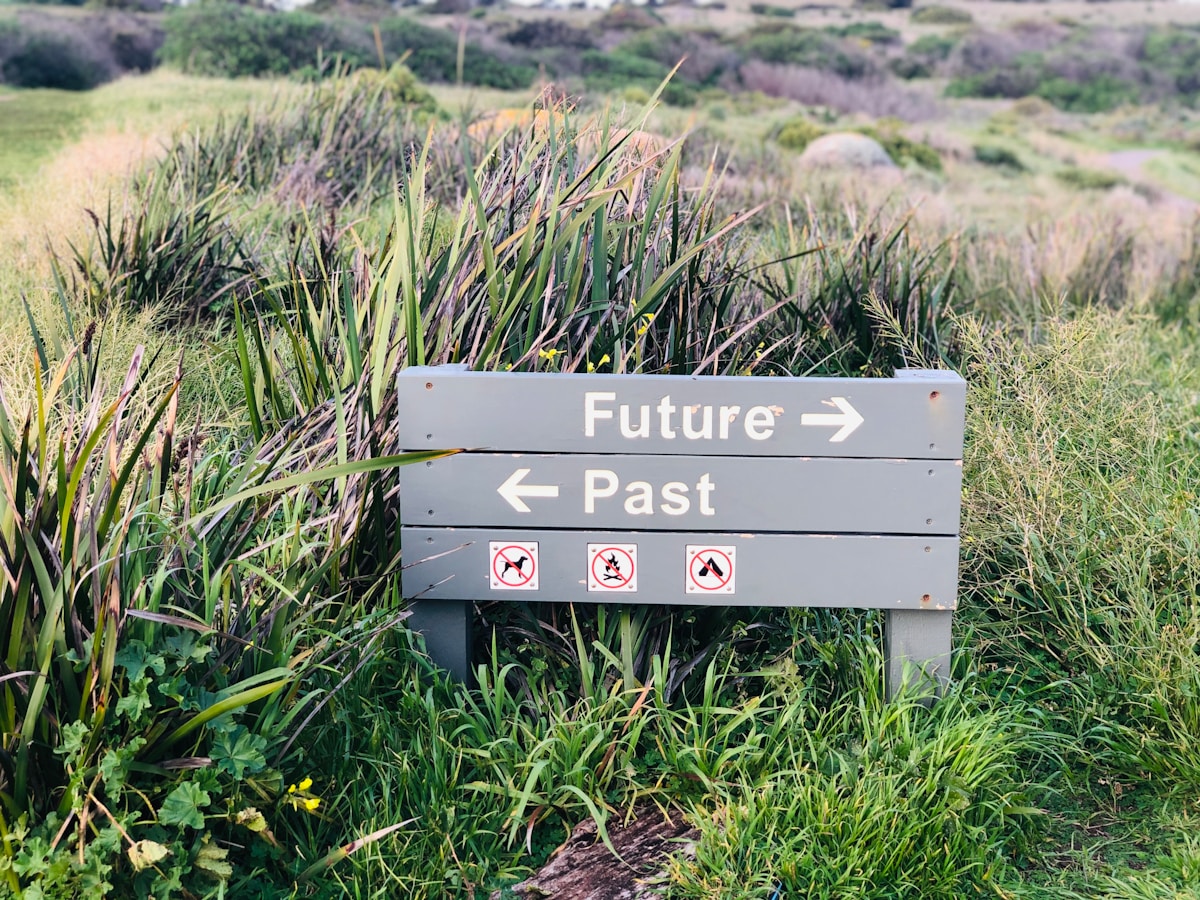 Finding Your Path Forward: A Guide to Making Real Climate Impact