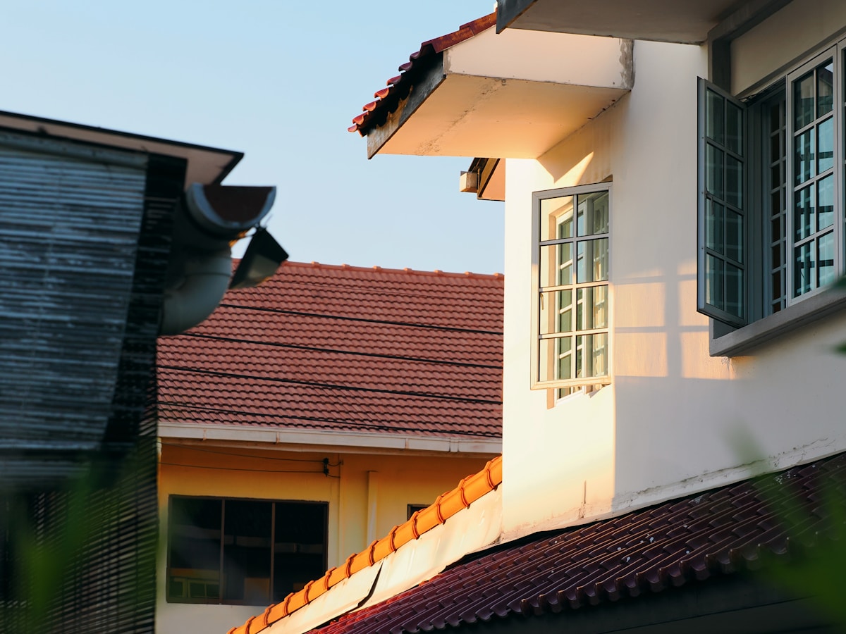 Smarter Pest Control: Scientists Use Termites' Own Instincts to Protect Homes More Effectively