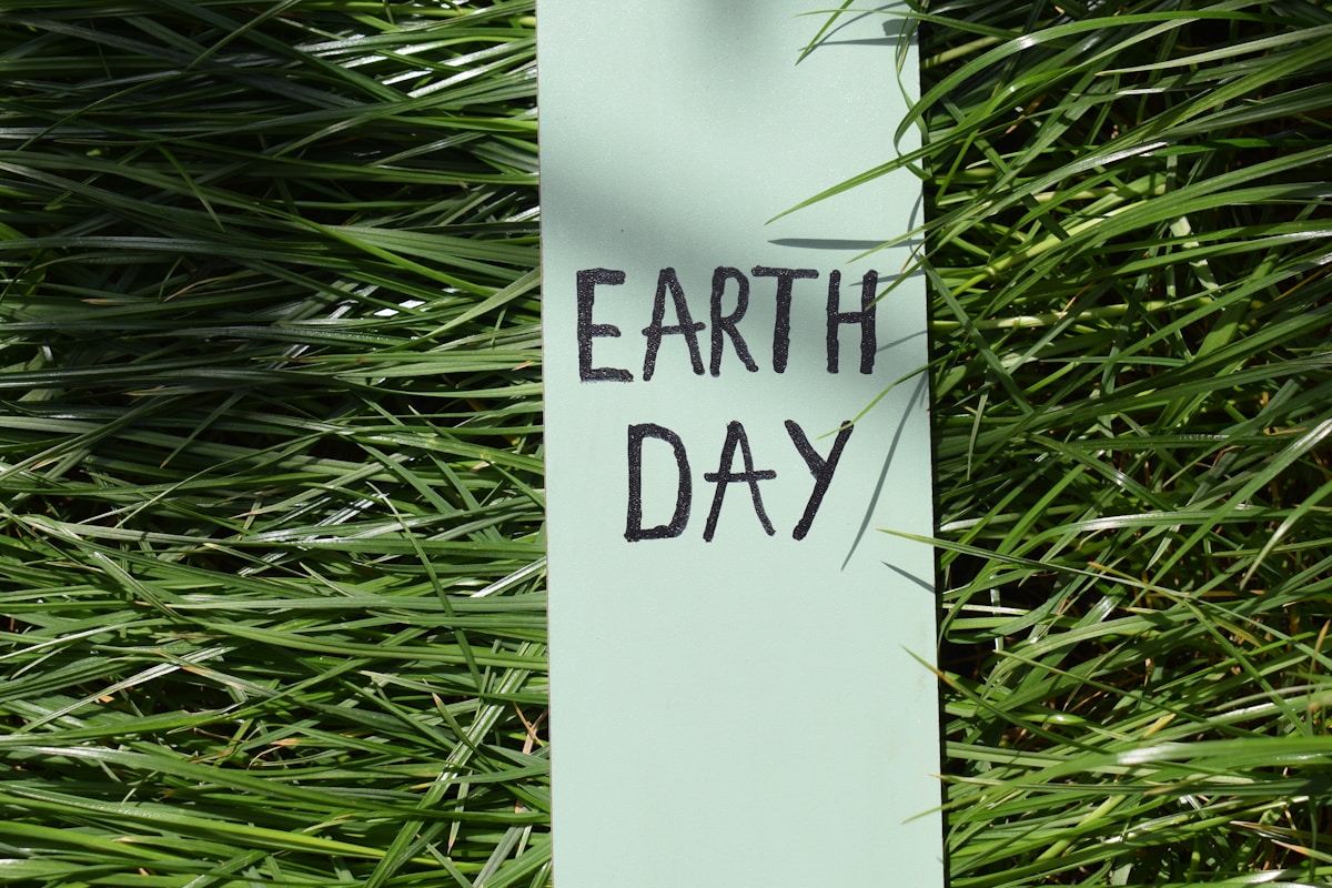 How 20 Million People Sparked a Movement: The First Earth Day's Lasting Legacy