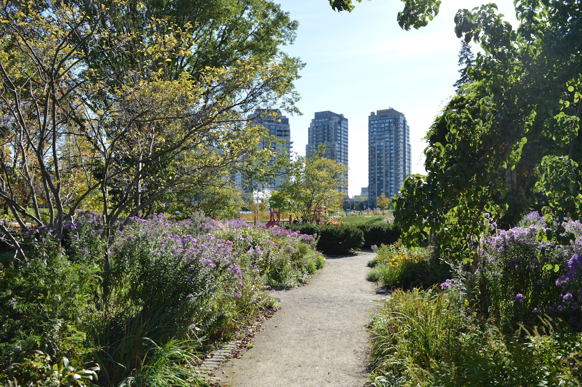Urban Gardens Become Unexpected Havens for Wildflowers