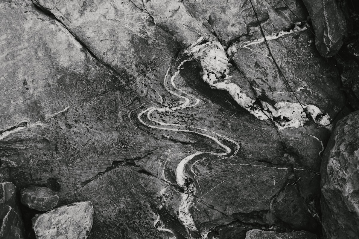 Ancient Snake Fossil Reveals How Evolution Reshaped a Species Over 100 Million Years