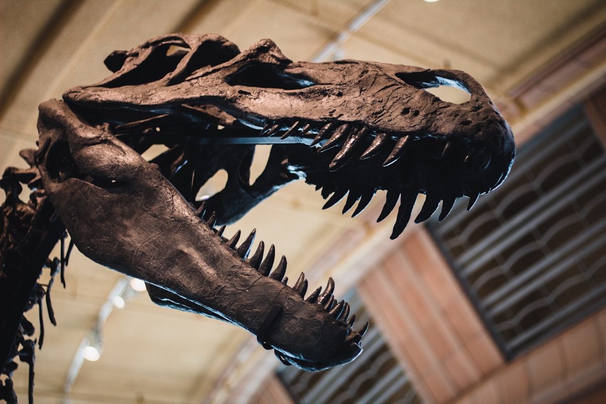 Ancient Healing Secrets Revealed Inside T. rex Bones