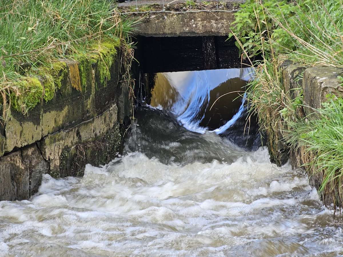 Sewage Gets a Second Life: Scientists Turn Waste Into Renewable Energy While Cutting Costs