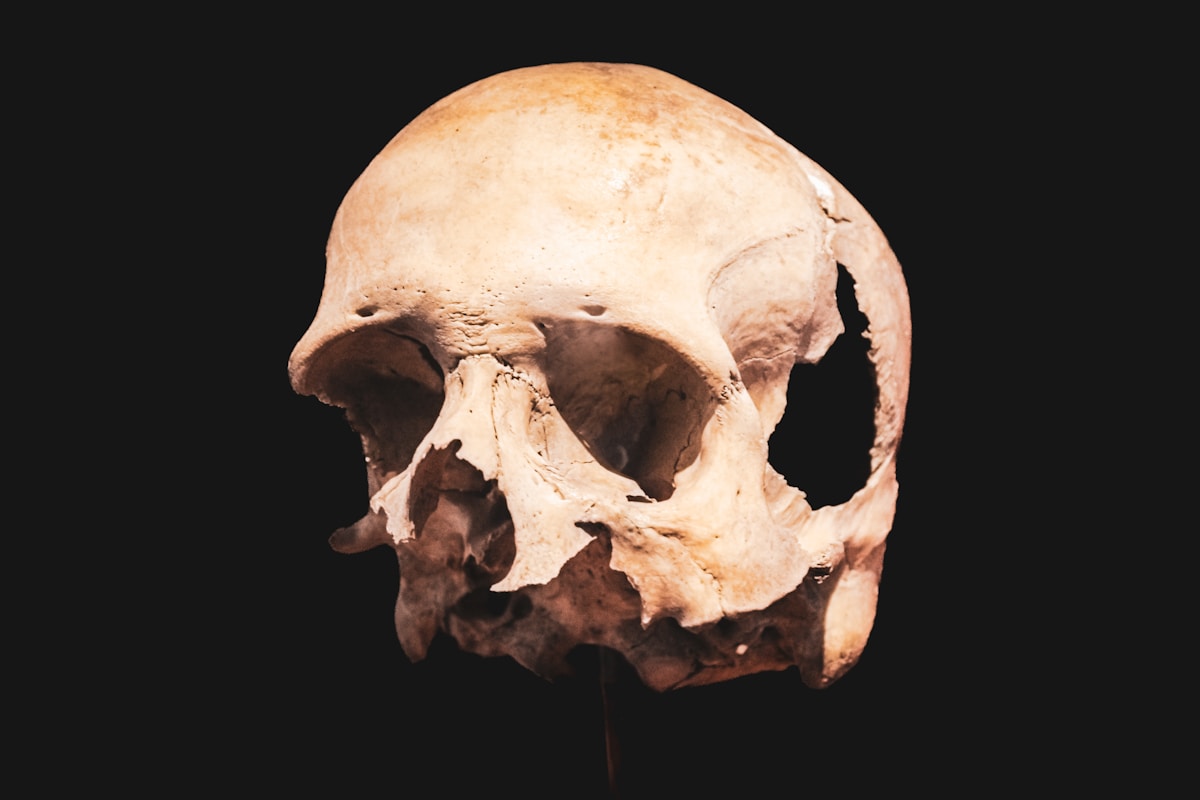 Ancient 'Cyclops' Ancestor Reveals the Evolutionary Origins of Human Vision