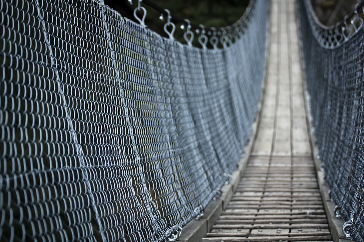 Innovative Rope Bridge Helps Sumatran Orangutans Safely Navigate Forest Roads