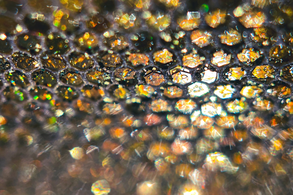Breakthrough microscopy reveals hidden order in quantum materials