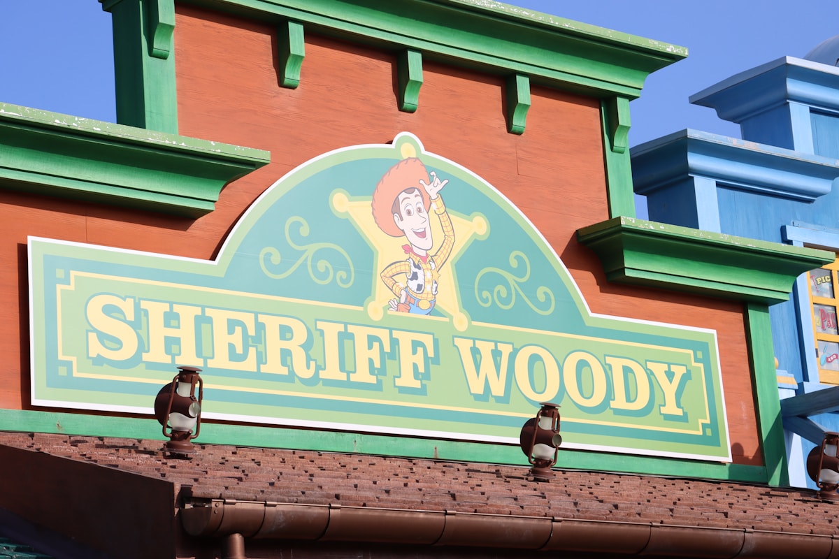 Disneyland Cast Member Surprises Deaf Child With ASL Conversation as Woody