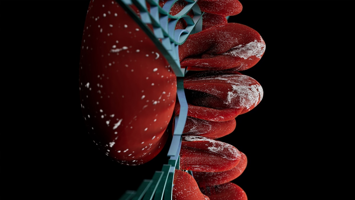 Scientists Discover Fat Protein's Hidden Role in Keeping Bodies Balanced