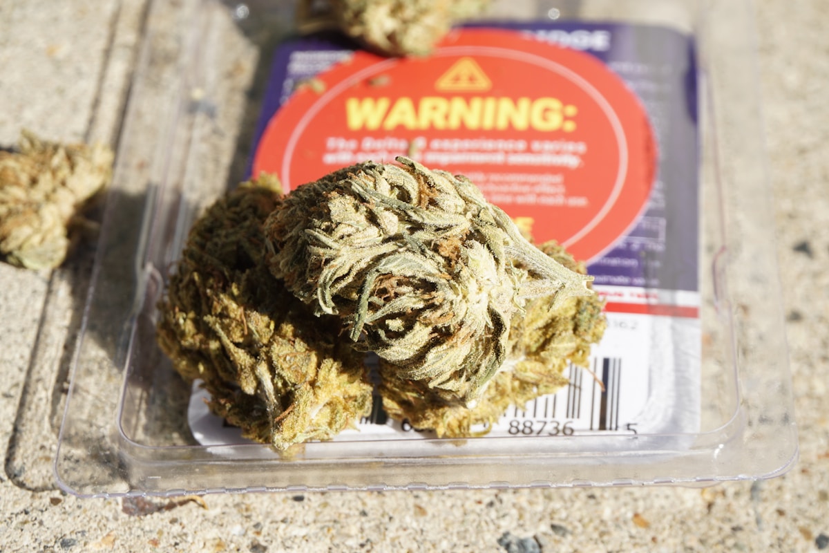 Hemp-Based Plastic Alternative Offers Durable, Eco-Friendly Solution for Packaging