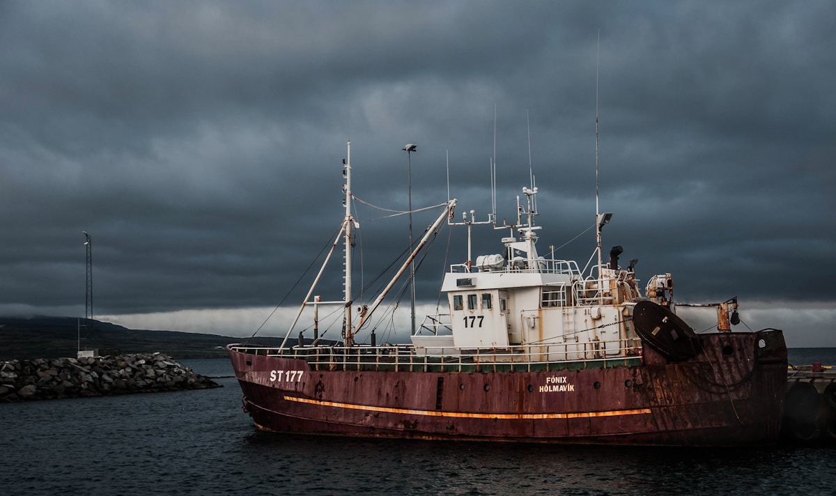 Iceland's Fishing Industry Turns Every Catch Into Innovation—From Medical Bandages to Notebooks