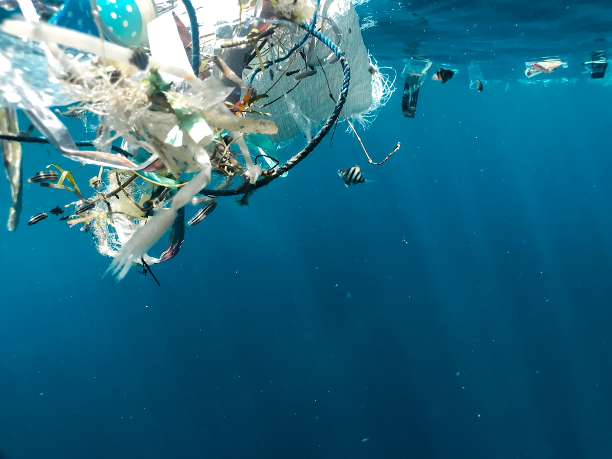 Sunlight Transforms Plastic Waste Into Hydrogen Fuel in Promising Scientific Breakthrough