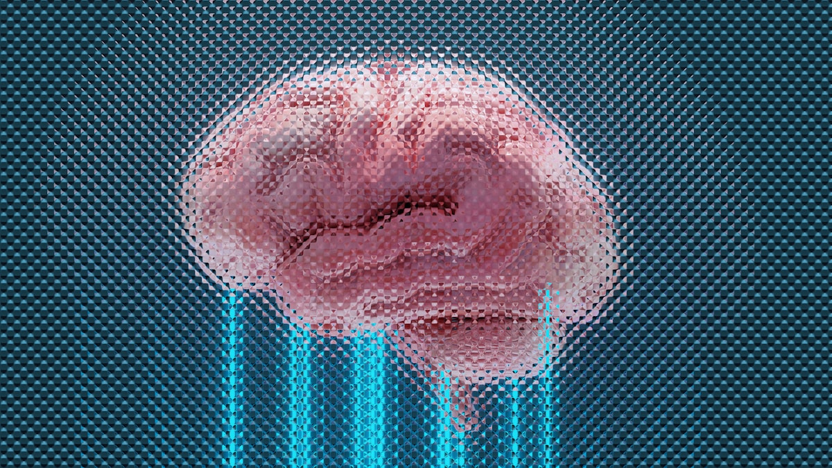 Your Brain Comes Pre-Wired: How Neural Pruning Makes Memory Stronger