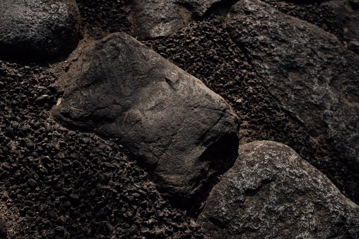 Ancient Discovery Reveals Homer's Words Traveled with the Dead in 1,600-Year-Old Burial