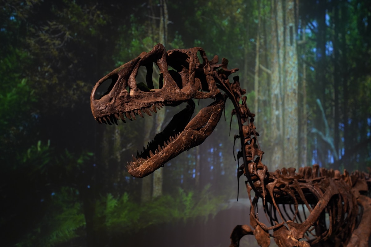 Ancient Fossil Discovery Unlocks New Understanding of Tyrannosaur Behavior
