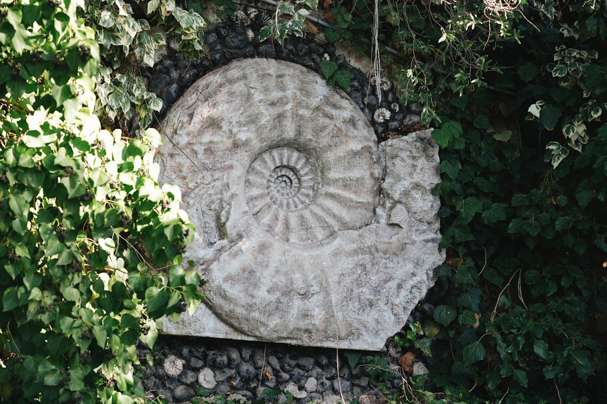 Garden Wall Reveals Perfectly Preserved 240-Million-Year-Old Fossil—A Treasure Trove for Understanding Ancient Life