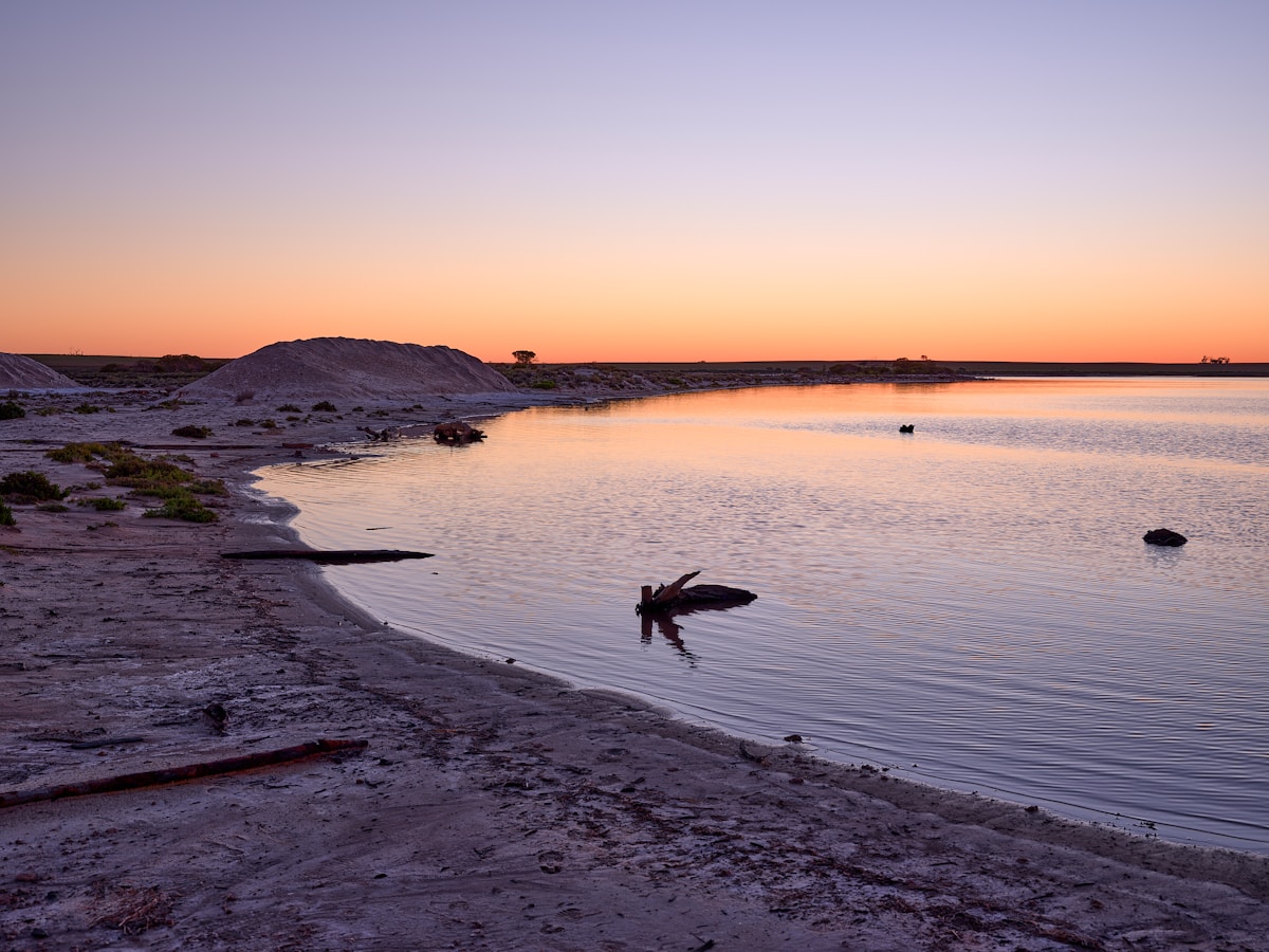 University Students Stage Remarkable Rescue of 500 Turtles From Drying Outback Lake