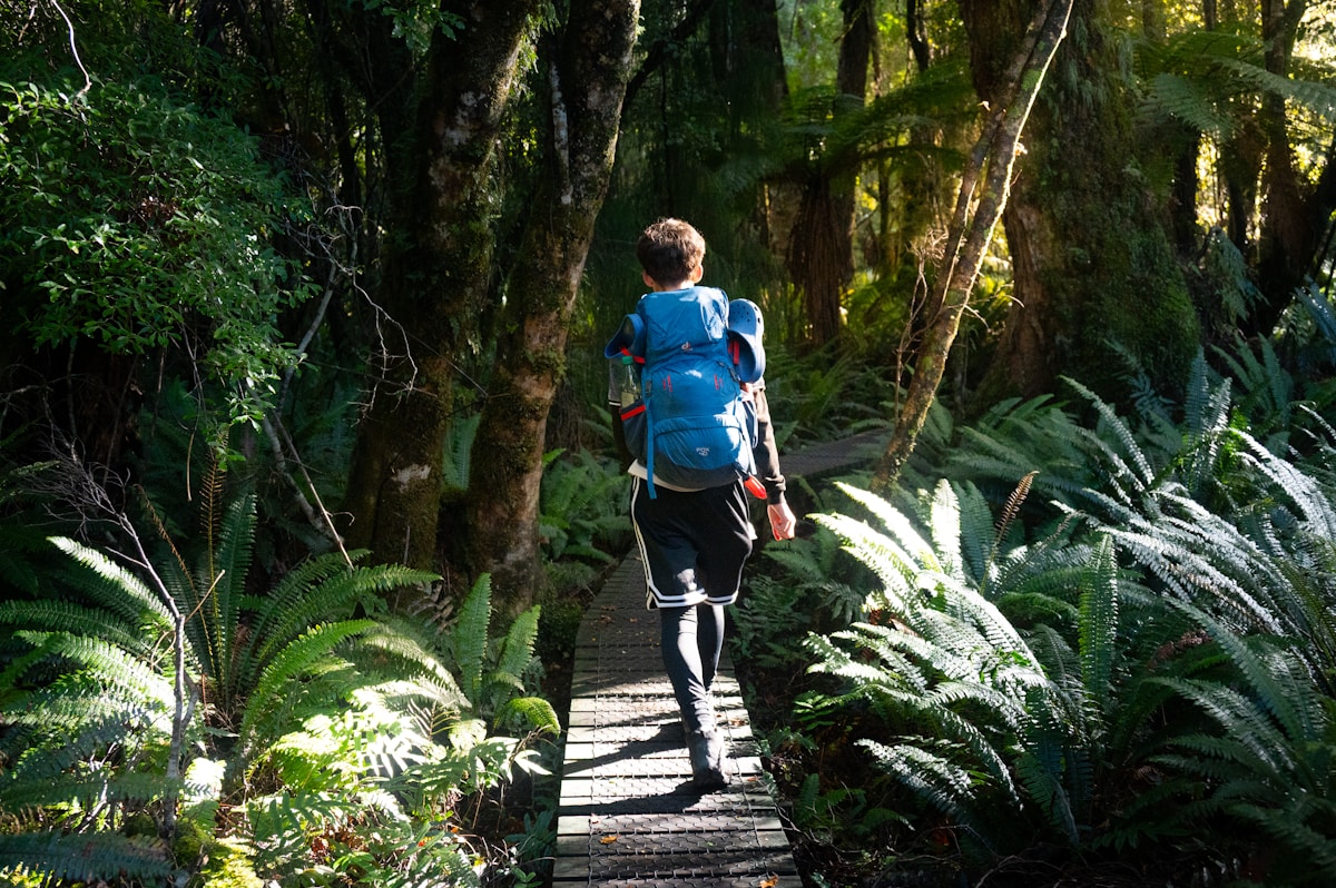 Simple Daily Walks After Surgery Speed Up Recovery and Reduce Complications