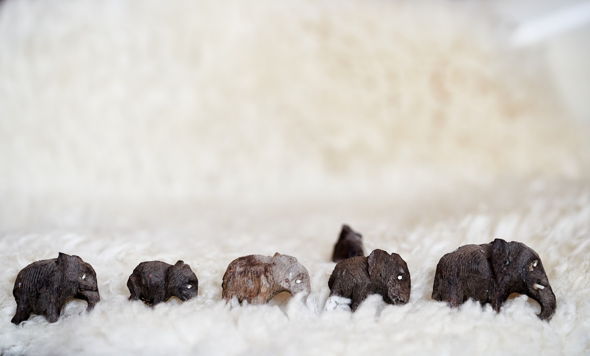 From Penguins to Elephants: British Knitting Group Crafts Care for Animals Worldwide