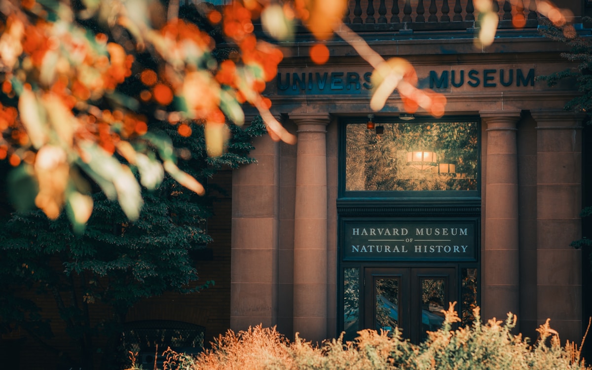 Regular Museum Visits and Music Listening May Help Slow Biological Aging, Study Finds