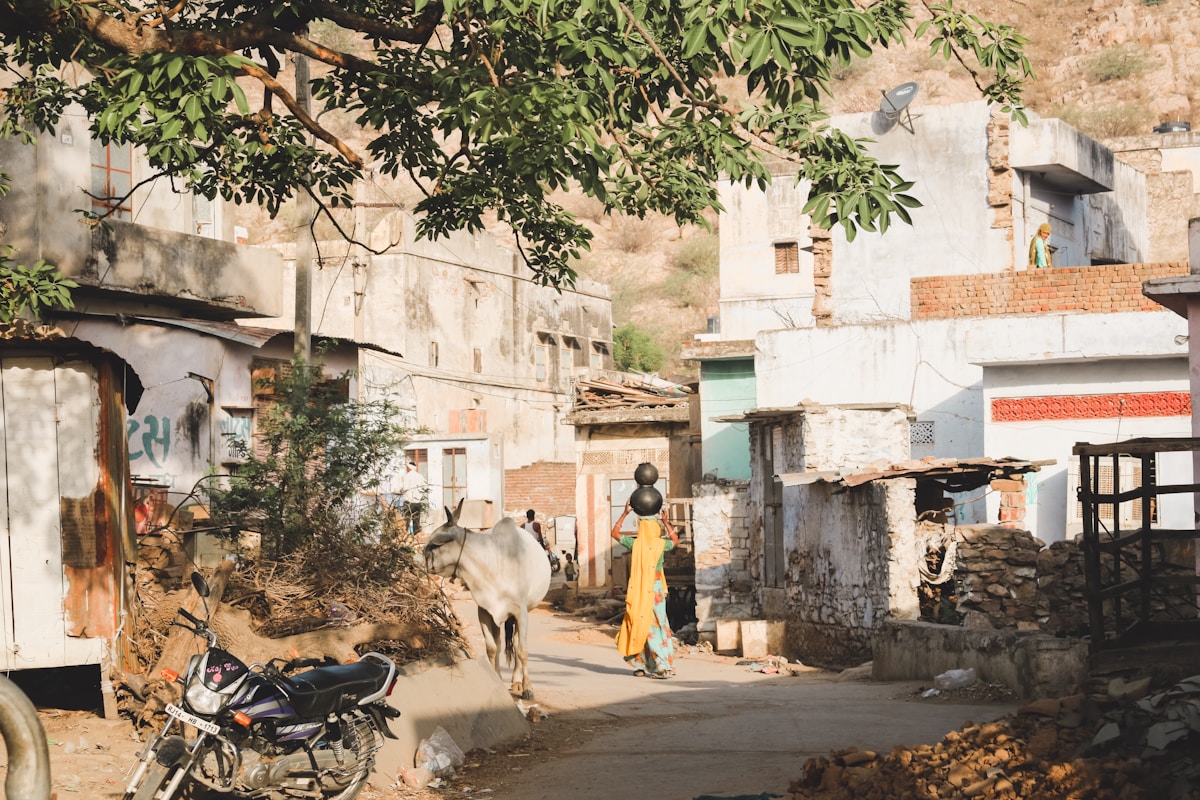 How One Village Leader's Instagram Videos Are Connecting Indians to Life-Changing Benefits