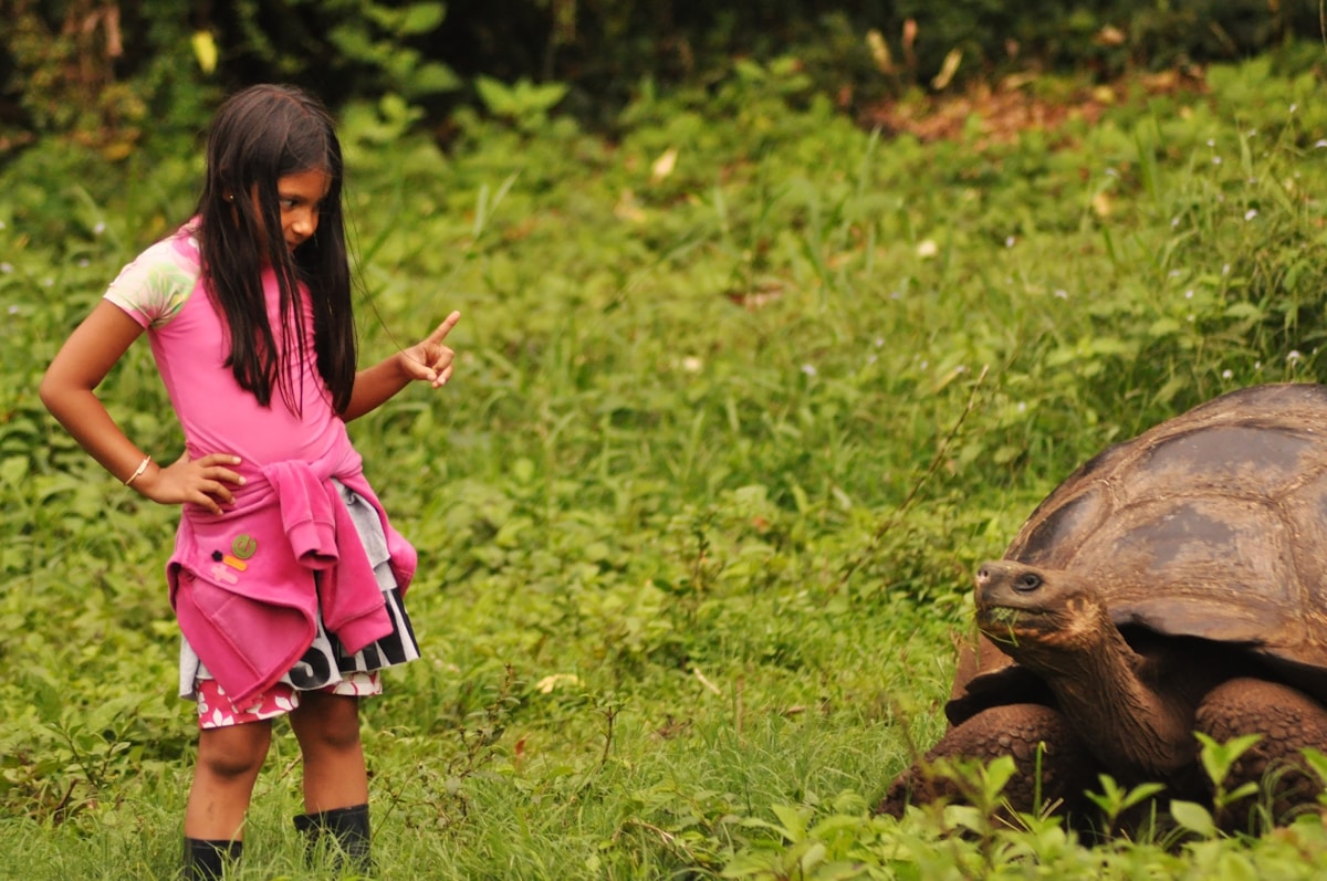 From Hunted to Protected: Remote Indian Community Becomes Champion for Critically-Endangered Giant Tortoises