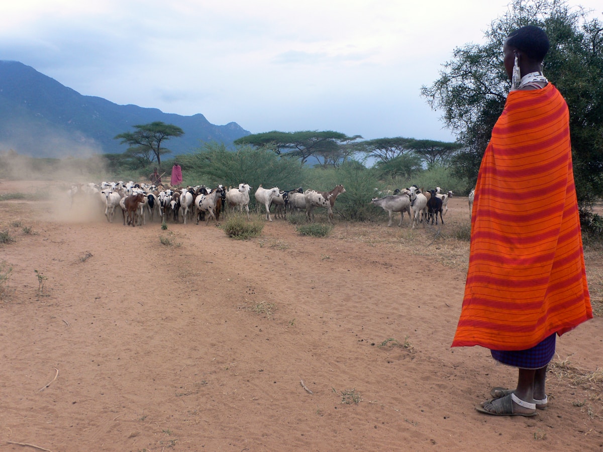 Carrying Forward a Legacy: Jane Goodall's Grandson Advances Conservation in Tanzania