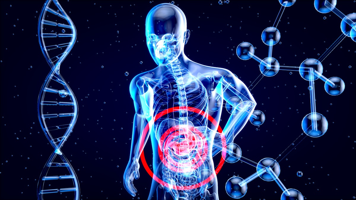 Common Amino Acid Shows Promise for Healing Gut Damage in Cancer Patients
