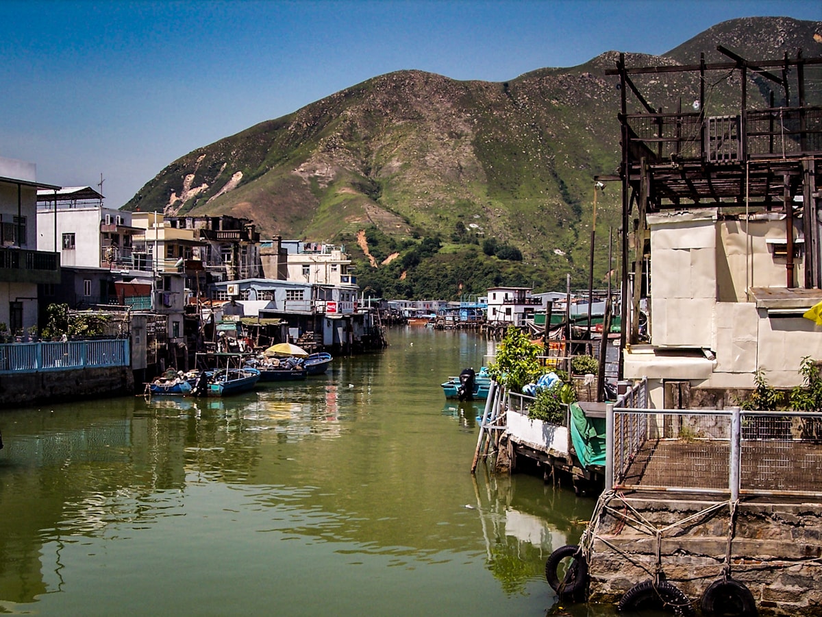 Hong Kong's Urban Farmers Brew Homegrown Coffee on Lantau Island