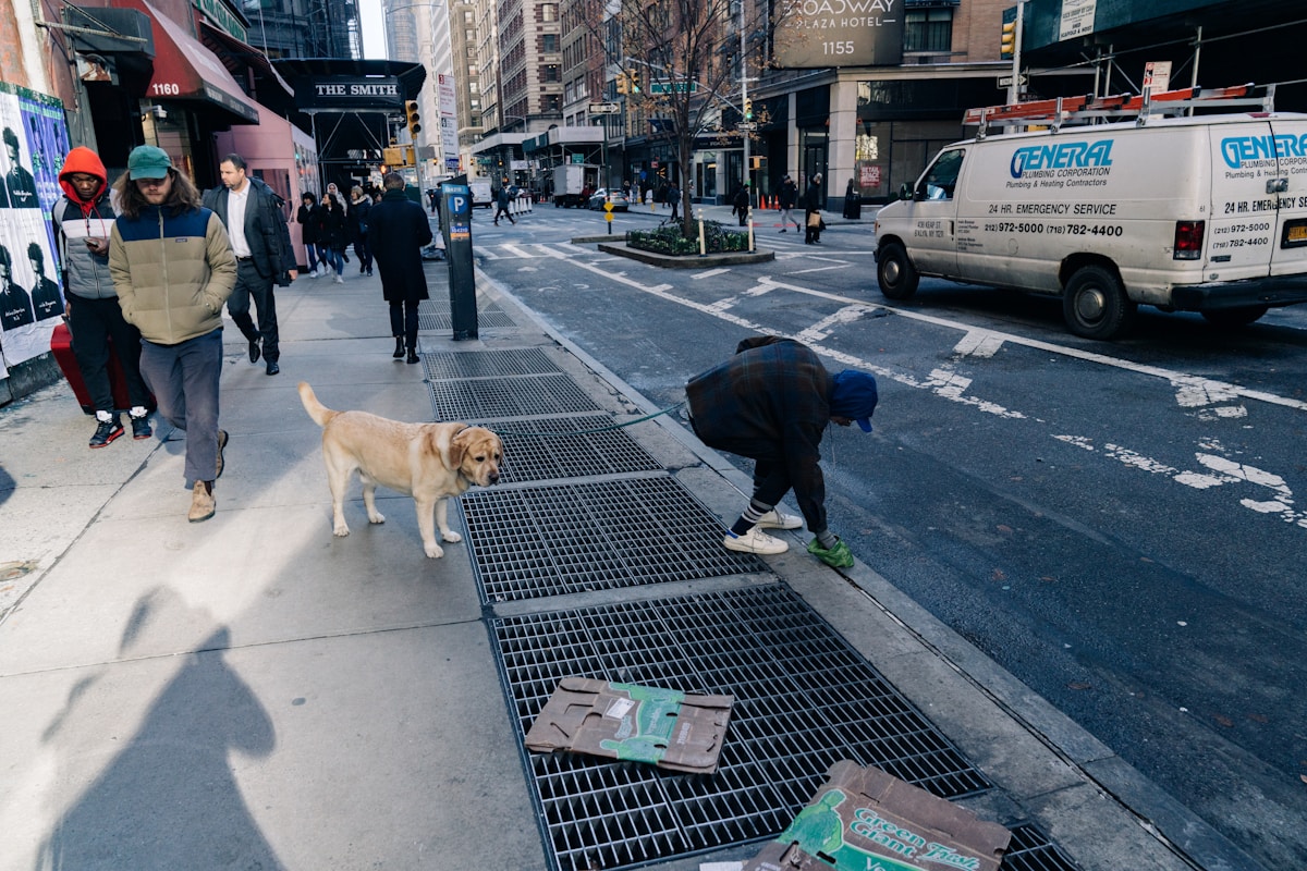 Magician's Clever Illusions Help NYC Shelter Dogs Find Forever Homes