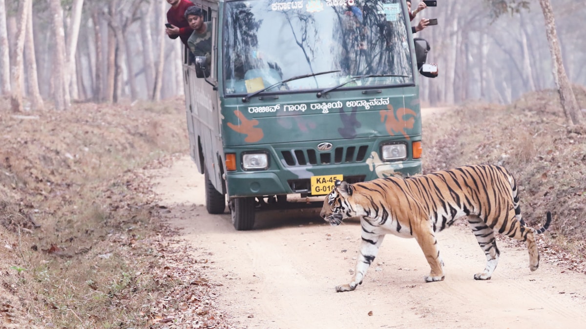 DNA Detective Work Helps Crack Down on Wildlife Trafficking Networks