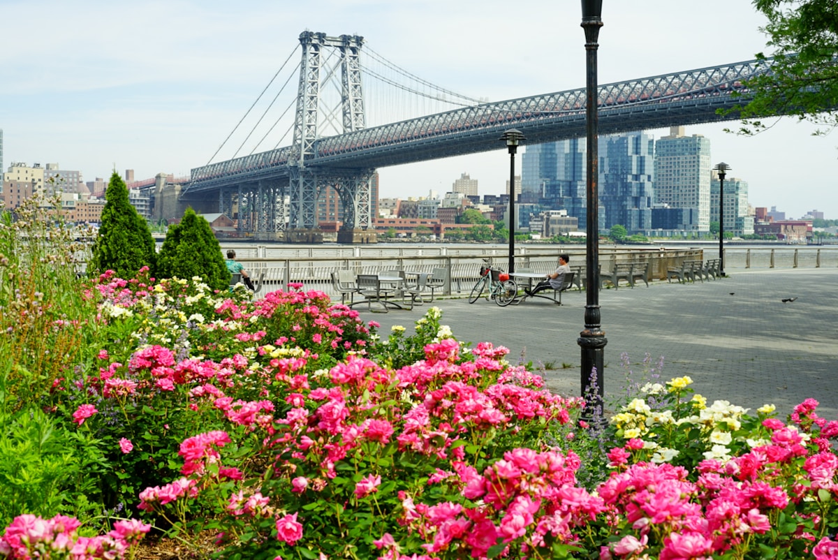 Historic NYC Garden Celebrates Nature's Diversity With Non-Binary and Sex-Changing Plants