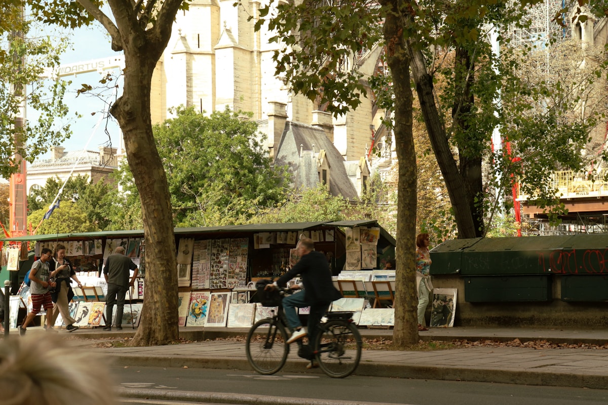 How One French City Is Becoming a Model for Urban Tree Conservation
