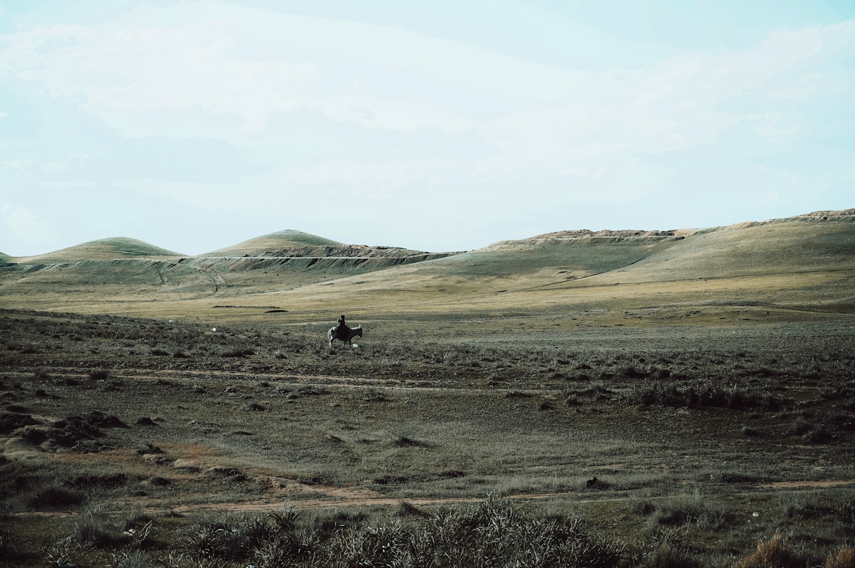 Against the Odds: Rare Mongolian Wild Horse Returns to the World