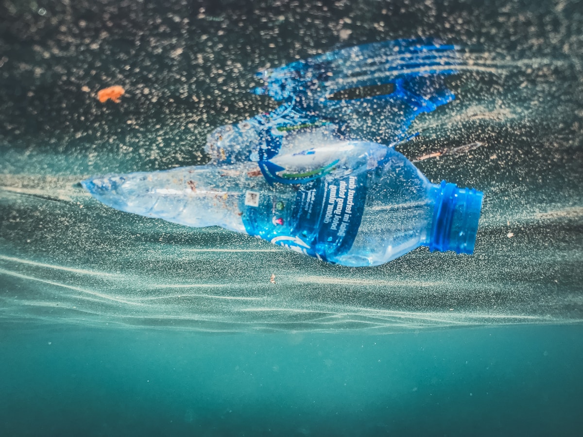 Phone Case Maker Launches Ocean-Cleaning Robot to Tackle Plastic Pollution