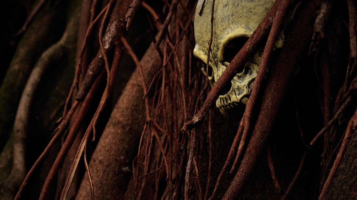 Tracing Our Roots: How Ancient Single-Celled Life Still Lives in Our Blood