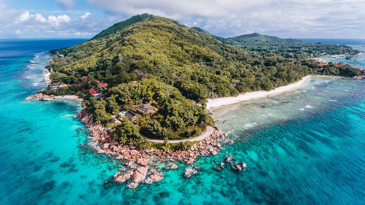 Ancient Mystery Solved: DNA Reveals the True Story of Seychelles' Missing Crocodiles