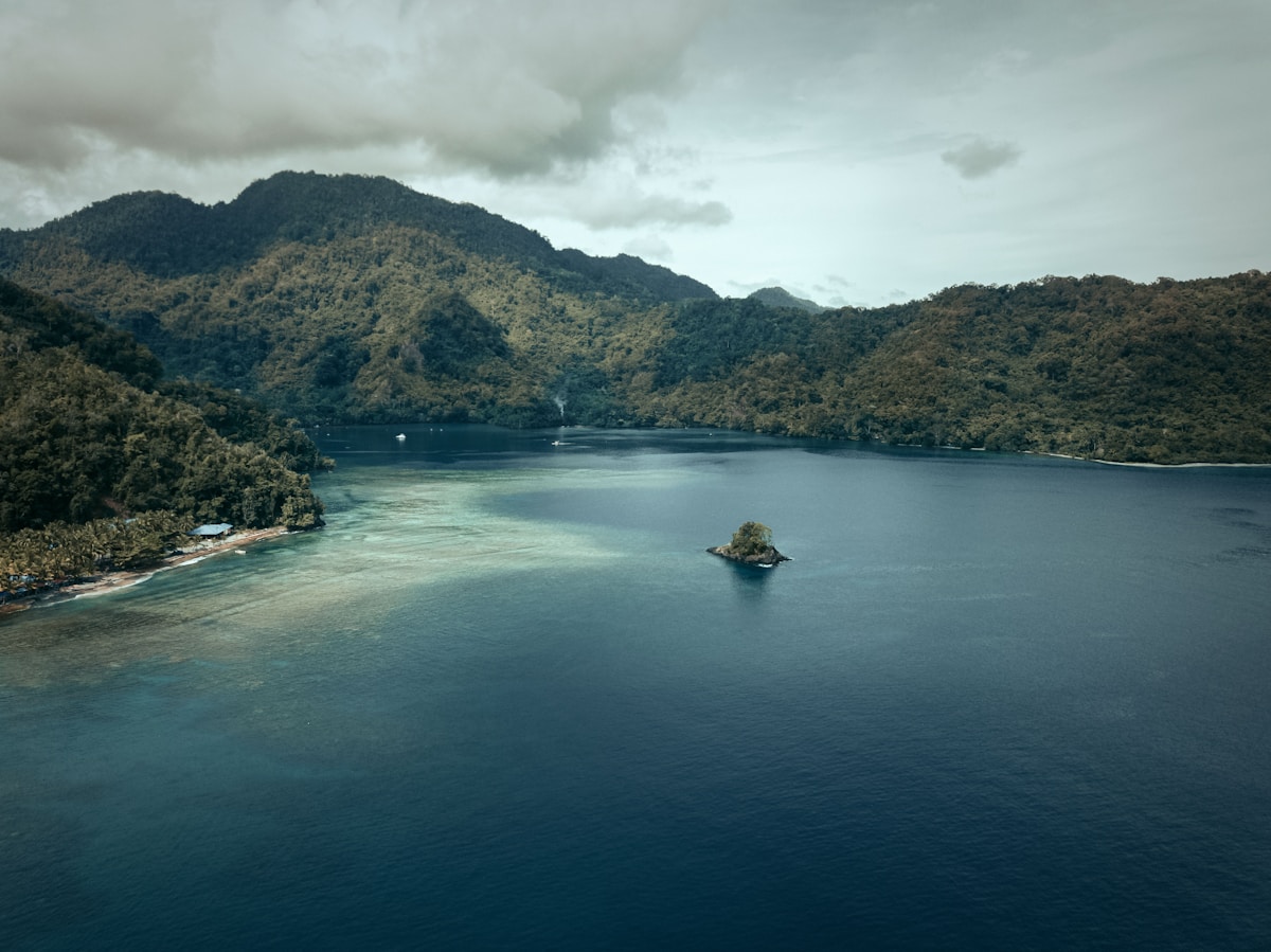 Papua New Guinea Creates Vast Ocean Sanctuary Using Shark Research