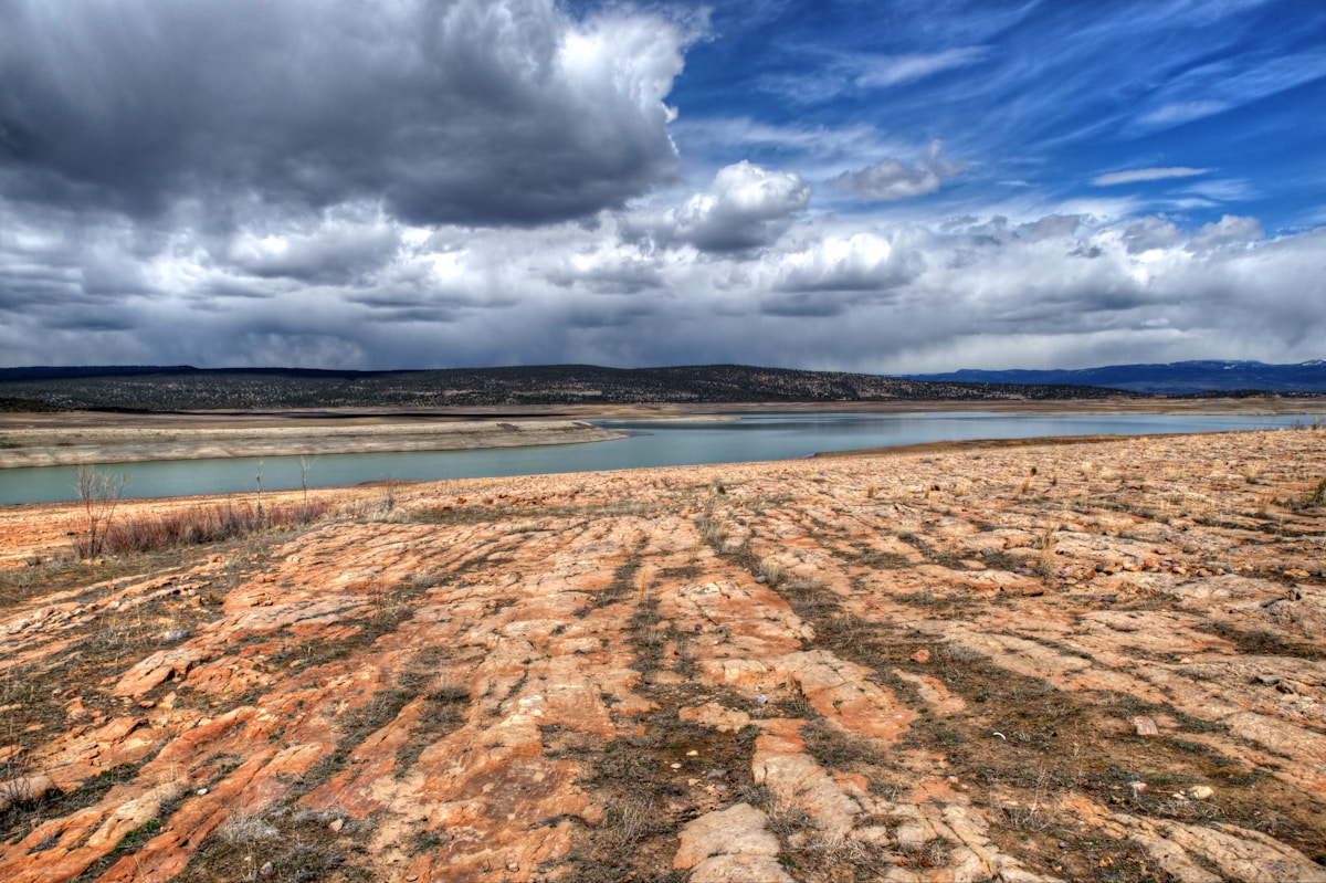 Rivers Thrive When We Let Them Flow: New Mexico Study Shows the Power of Natural Floodplains