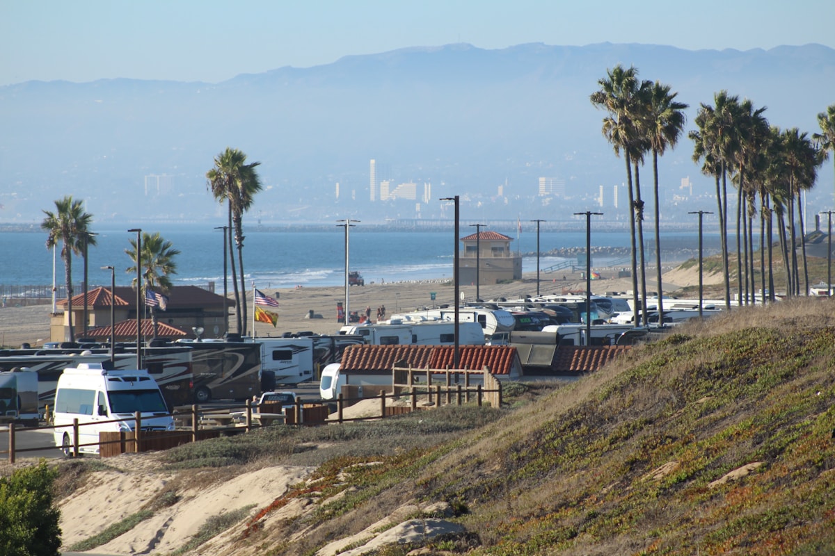 Coastal Restoration Project Brings Wildlife and Natural Storm Barriers Back to Santa Monica Beaches