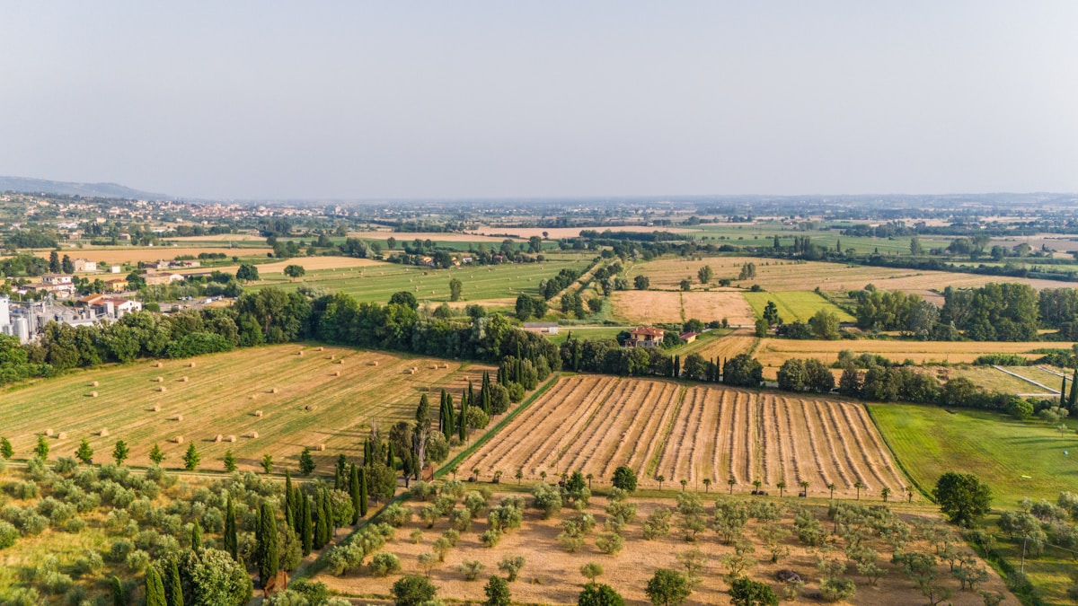 Italian Forests Reclaim the Landscape, Outgrowing Agricultural Land for the First Time in Centuries
