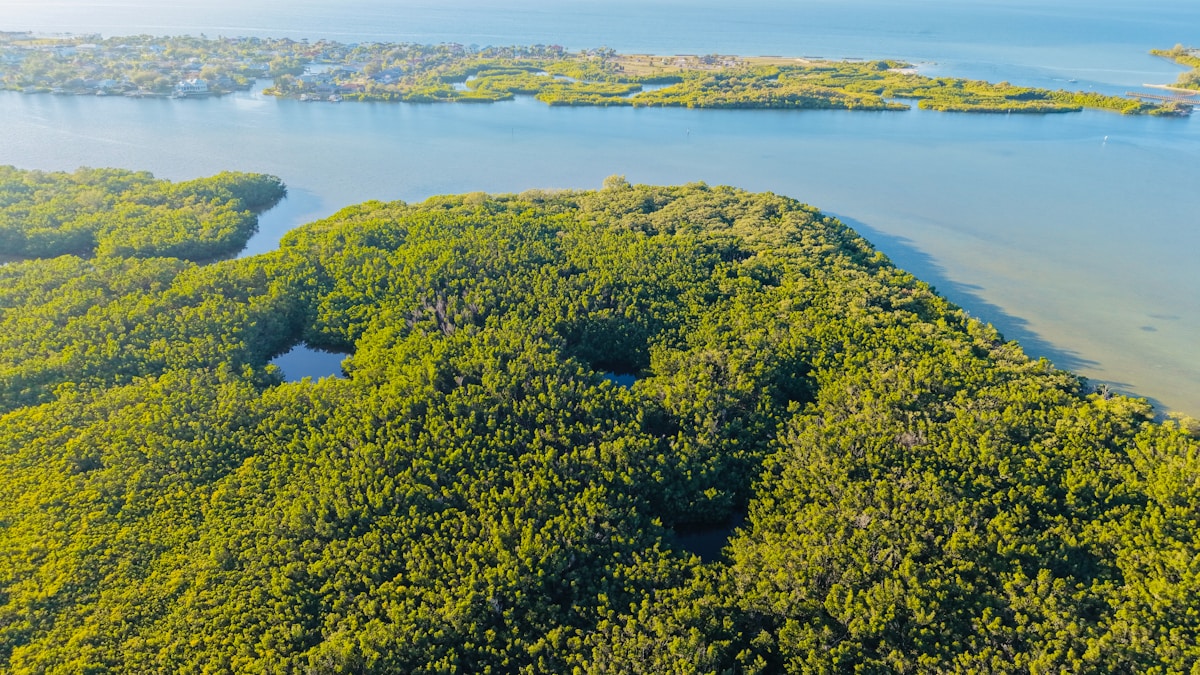 Massive New Nature Reserve Shelters Pristine Rainforests and Granite Peaks in French Guiana