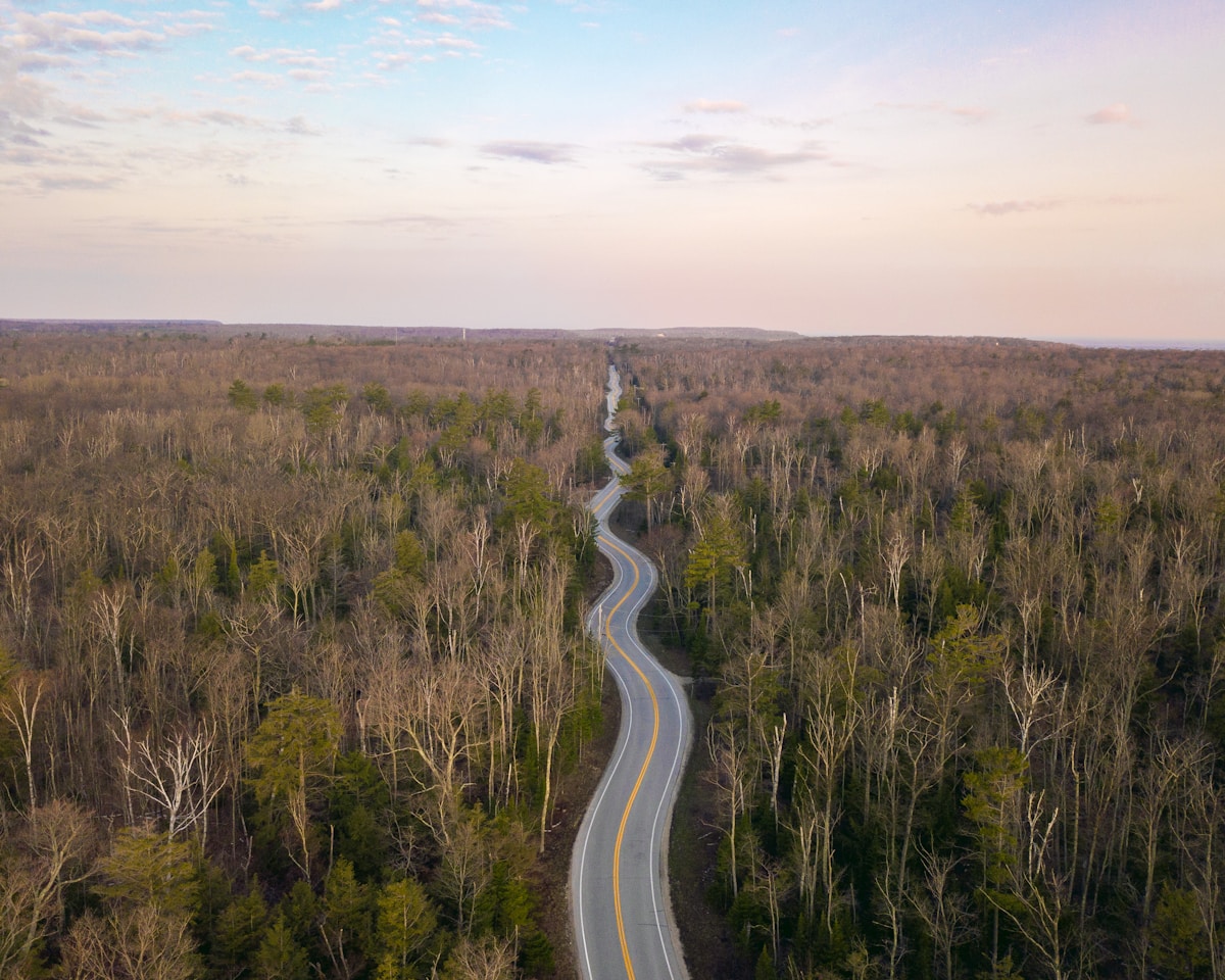 Over 100 Million Trail Cam Photos Celebrate Three Decades of Wisconsin Conservation Success