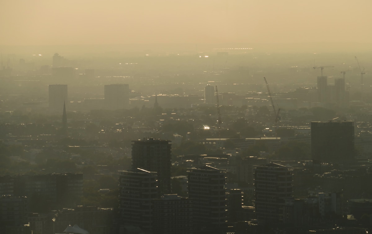 Clean Air Measures Linked to 40 Percent Drop in London Air Pollution Deaths